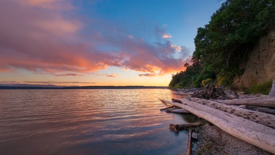 Best Beaches on Camano