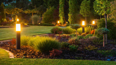 Outdoor Lighting