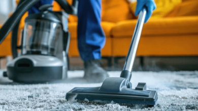 Top Benefits of Professional Carpet Cleaning by Carpet Bright UK