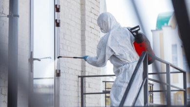 How To Choose The Right Mold Inspection Service For Your Property