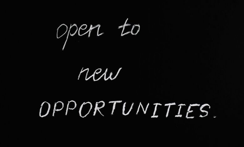 bookkeeping for growth opportunities