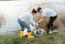 sustainable practices in motion