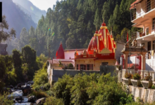 Tiaraa Hotels: Best Resorts Near Kainchi Dham for a Peaceful Stay