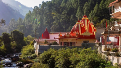 Tiaraa Hotels: Best Resorts Near Kainchi Dham for a Peaceful Stay