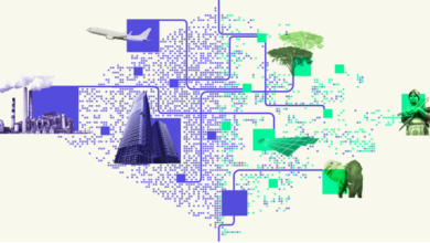 What Are Carbon Offsets? – A Simple Breakdown of How Carbon Offsets Work