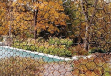 Designing Healthier Schoolyards: Lyme Disease Prevention with Deer Fencing