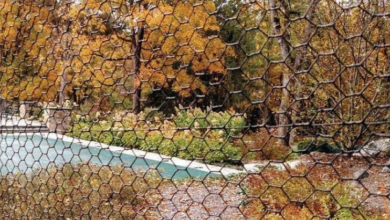 Designing Healthier Schoolyards: Lyme Disease Prevention with Deer Fencing