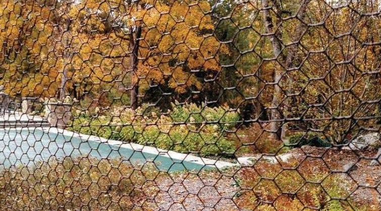Designing Healthier Schoolyards: Lyme Disease Prevention with Deer Fencing