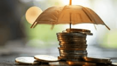 How savings insurance gives you safety and long-term returns