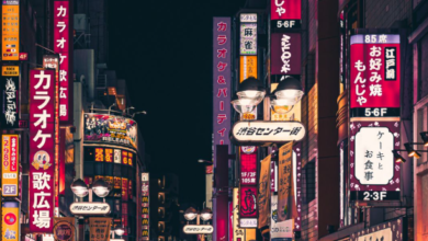The Digital Traveler's Guide: Staying Connected Across Asia's Tech-Savvy Destinations