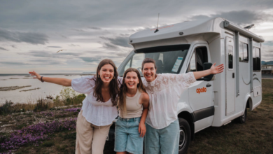 Why More Aucklanders Are Heading to Wellington