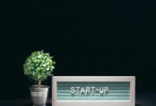 apex flow start innovation