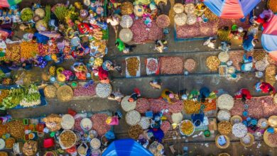 apex horizon start unlocking potential