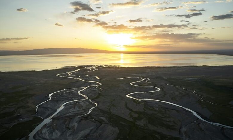 elevation flow start shaping next level horizons