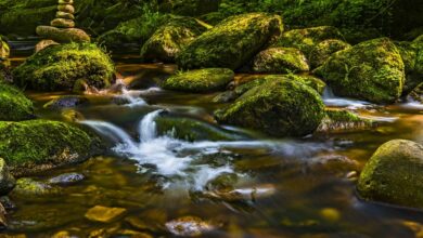 luminous flow start unlocking