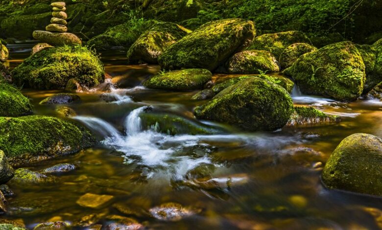 luminous flow start unlocking