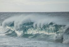 luminous surge sparks visionary horizons