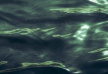 luminous wave start fueling transformative potential