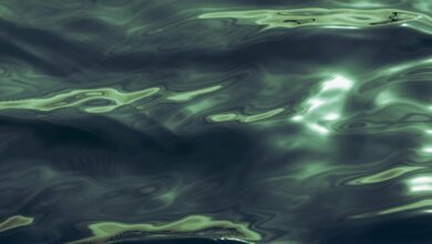 luminous wave start fueling transformative potential