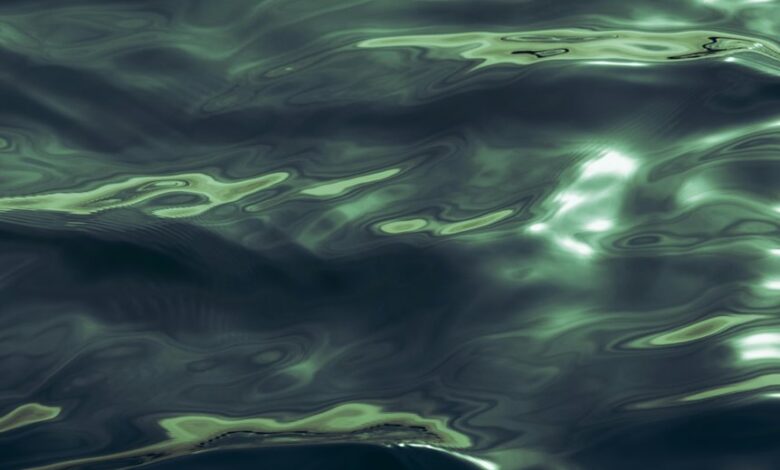 luminous wave start fueling transformative potential