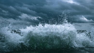 momentum surge start driving excellence