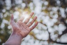 stellar surge start fueling visionary growth