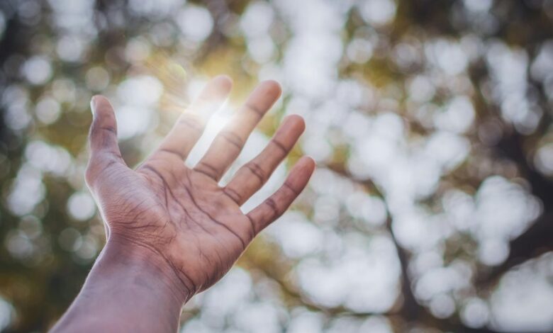 stellar surge start fueling visionary growth