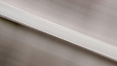 velocity flow begins shaping visionary excellence