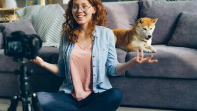 blog pet advice for dogs