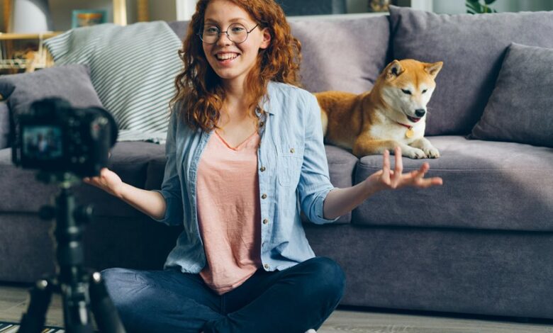 blog pet advice for dogs