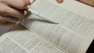 caller safety research guide spam number checks