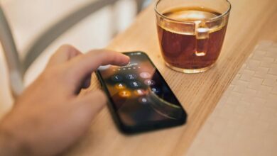 fraud investigation portal scam numbers