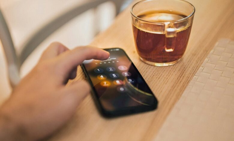 fraud investigation portal scam numbers