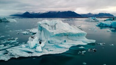 random keyword exploration hub