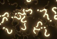 random keyword exploration portal