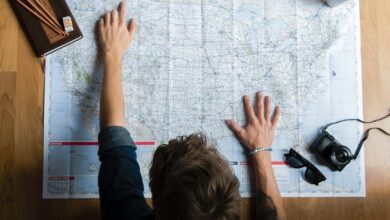 social media handle reveals identity searches