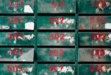 spam phone investigation portal lookup