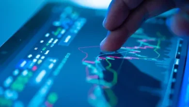 How Day-Wise Bids Reveal Market Mood During Big Offerings